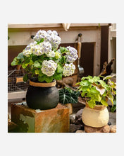Load image into Gallery viewer, Faux Bamboo Woven Cement Planter- Rustic Reach Faux Bamboo Woven Cement Planter - Eco Friendly

