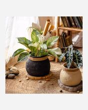 Load image into Gallery viewer, Faux Bamboo Woven Cement Planter- Rustic Reach Faux Bamboo Woven Cement Planter - Eco Friendly
