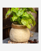 Load image into Gallery viewer, Faux Bamboo Woven Cement Planter- Rustic Reach Faux Bamboo Woven Cement Planter - Eco Friendly
