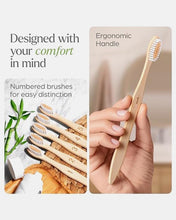 Load image into Gallery viewer, Biodegradable Bamboo Toothbrushes | Bamboo Bristle Toothbrush - Eco Friendly
