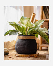 Load image into Gallery viewer, Faux Bamboo Woven Cement Planter- Rustic Reach Faux Bamboo Woven Cement Planter - Eco Friendly
