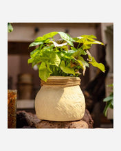Load image into Gallery viewer, Faux Bamboo Woven Cement Planter- Rustic Reach Faux Bamboo Woven Cement Planter - Eco Friendly
