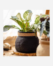 Load image into Gallery viewer, Faux Bamboo Woven Cement Planter- Rustic Reach Faux Bamboo Woven Cement Planter - Eco Friendly
